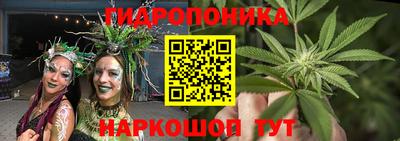 трава Новокубанск
