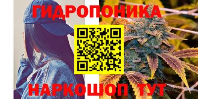 MDMA Новозыбков