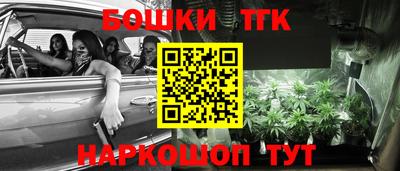 первитин Новодвинск