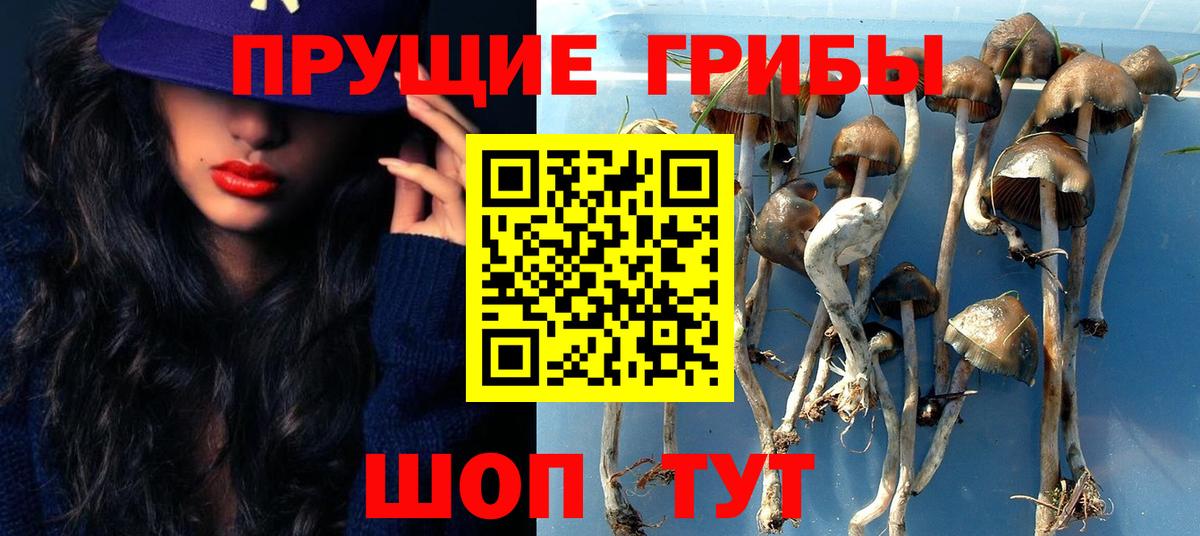 Псилоцибиновые грибы прущие грибы  Вход с VPN  Ульяновск 